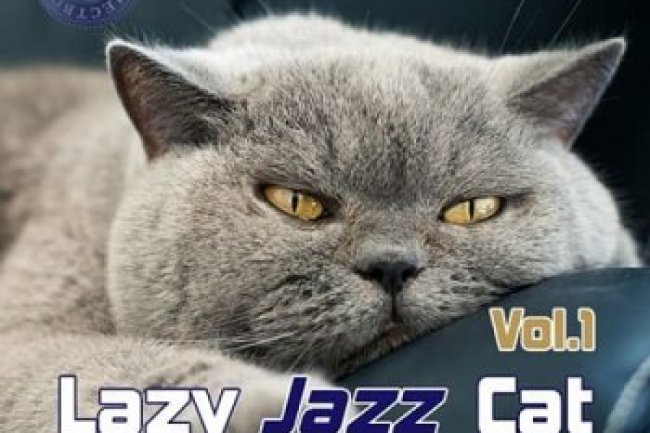 Cat jazz