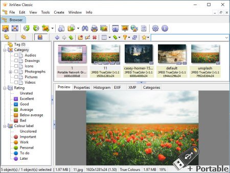 XnView Classic v2.51.6 Extended + Portable