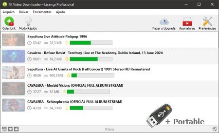 4K Video Downloader v4.33.1.0140 + Portable