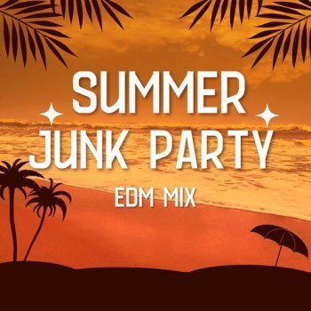 Summer Junk Party EDM Mix (2024)