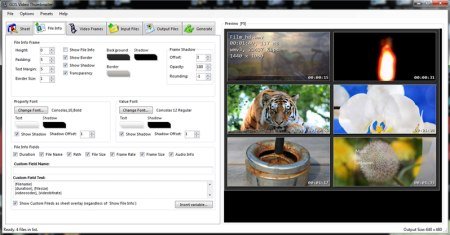 GDS Video Thumbnailer v7.0.6