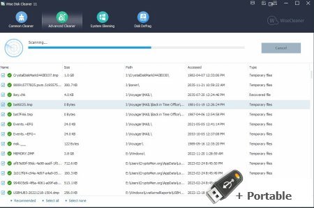 Wise Disk Cleaner v11.1.9.835 + Portable